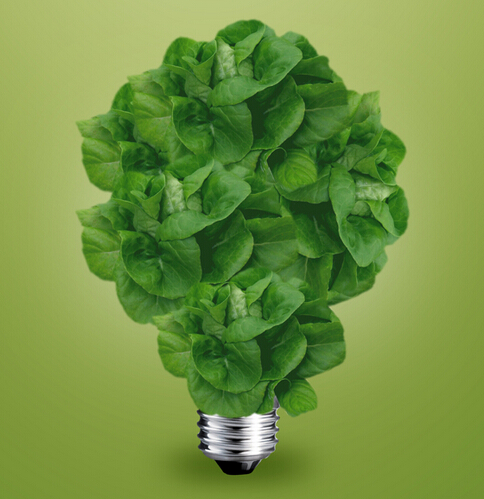 Use Led Bulbs For Home Conserve Money And Save Earth